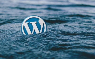 Il CMS WordPress la piattaforma più usata per la creazione di siti