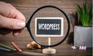assistenza Wordpress